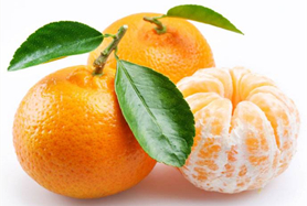 柑橘防治历