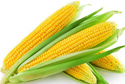 玉米防治历
